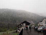 2019 - Jaguar in Friuli (27-28 Aprile) (13/29)